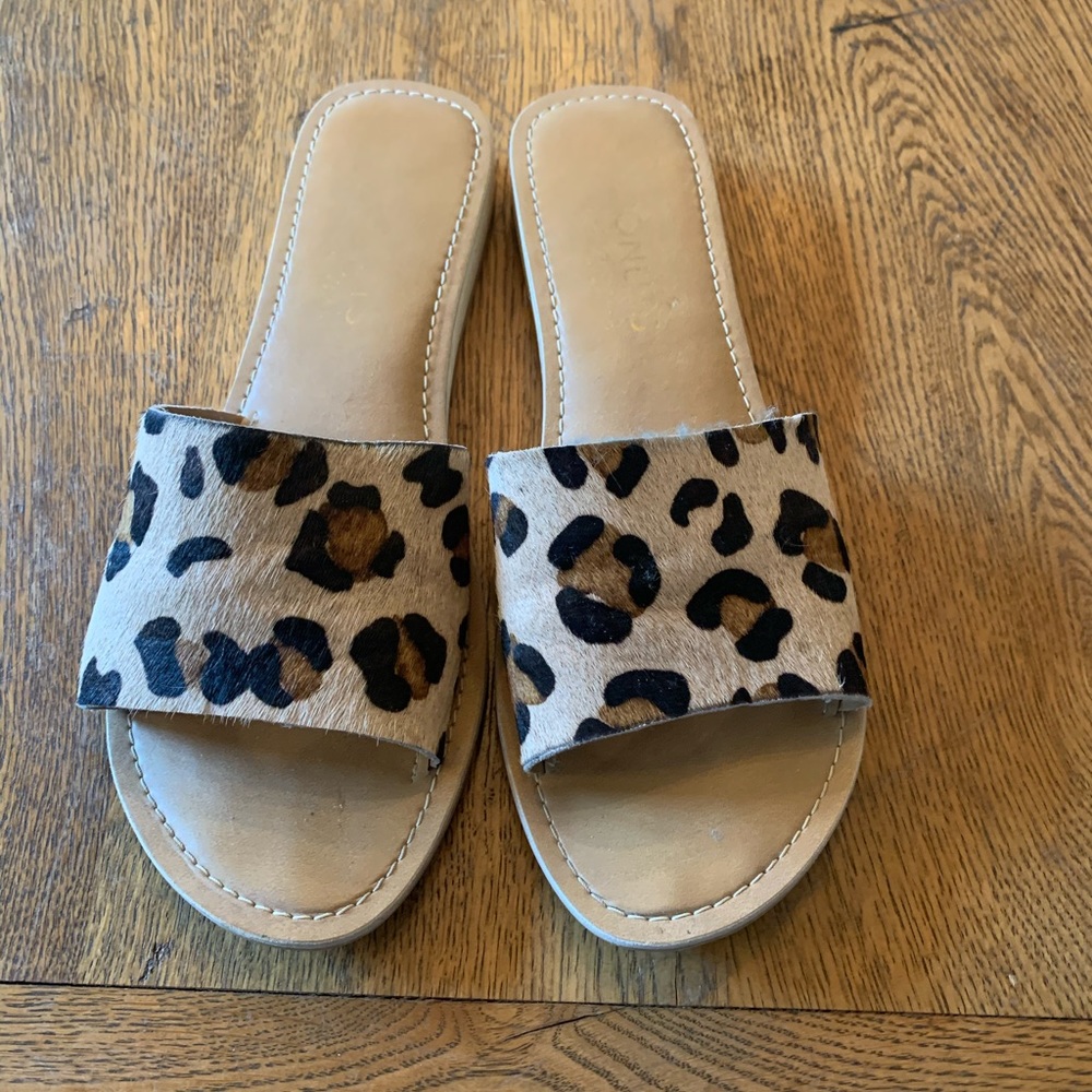 Coconuts from Anthro leopard calf hair slides